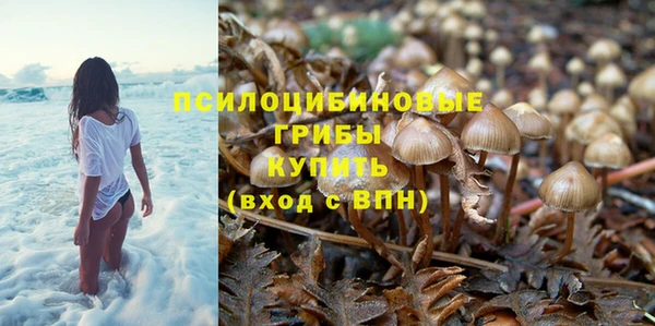 трава Нязепетровск