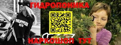 бошки Будённовск