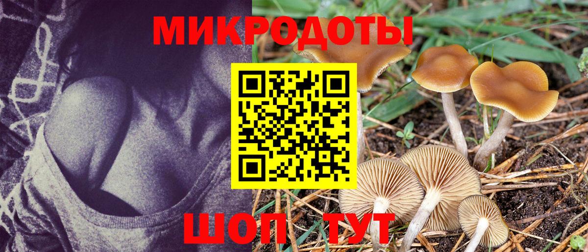 Псилоцибиновые грибы Magic Shrooms Рославль