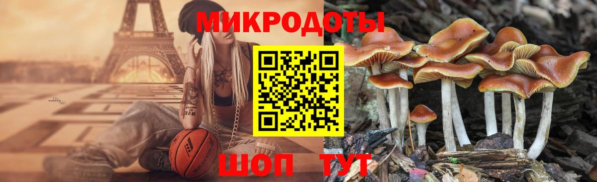 Псилоцибиновые грибы Cubensis Рославль